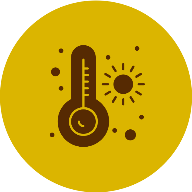 Afforestation corbon sink icon