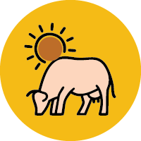 cow based science icon