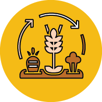 fast growing icon
