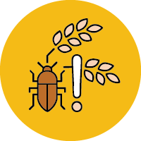 natural pest management