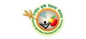 Home p logo12