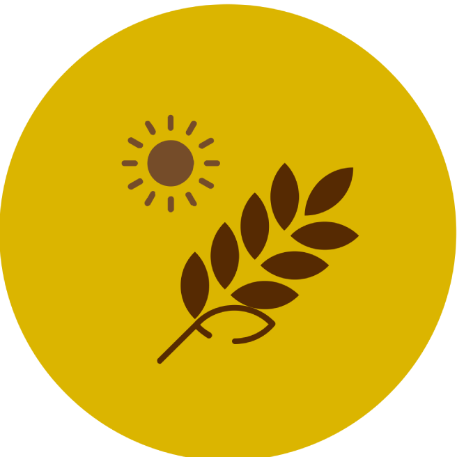 reduce environmental impact icon