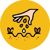 seed sowing and gardening