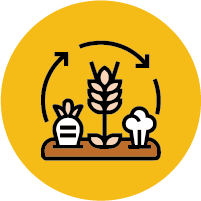 traditional crop wisdom icon