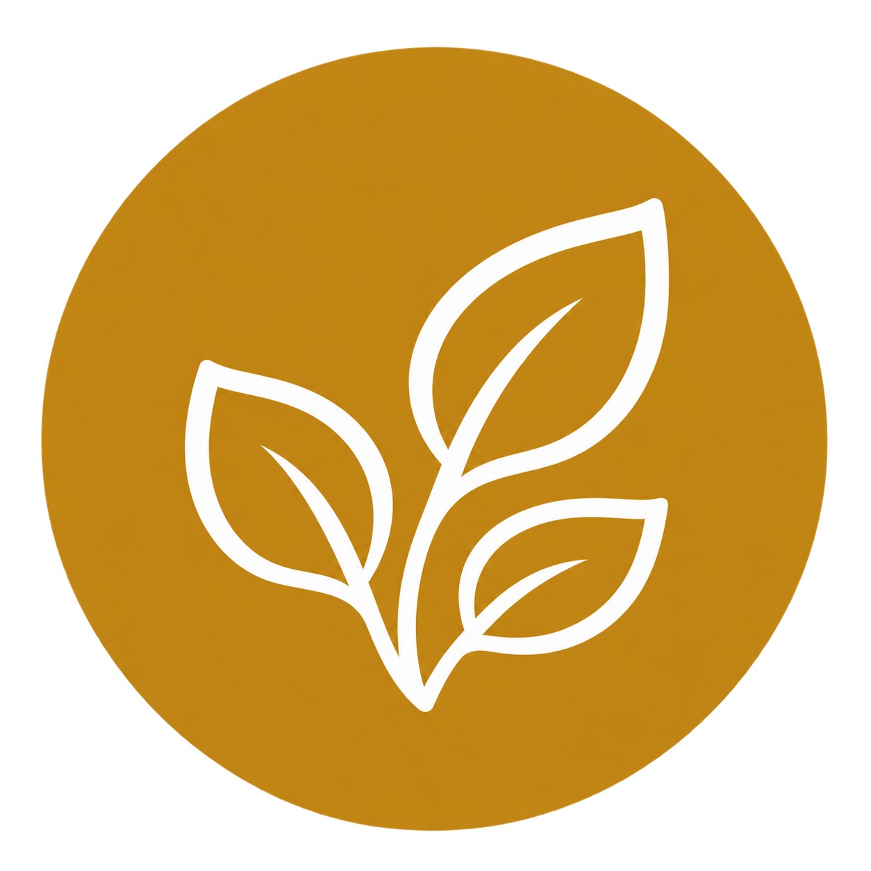Home Rashtriya Desi Beej Kosh (National Indigenous Seed Bank)